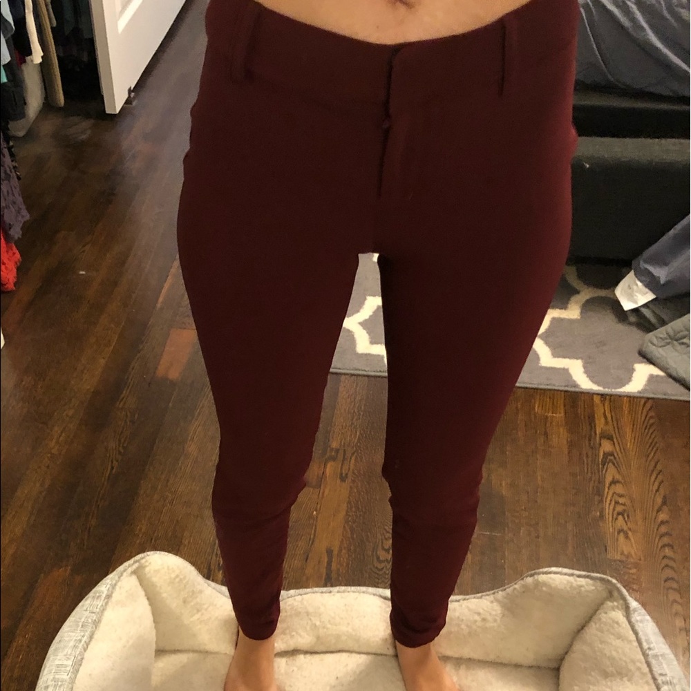 Express Work/ Dress Pants